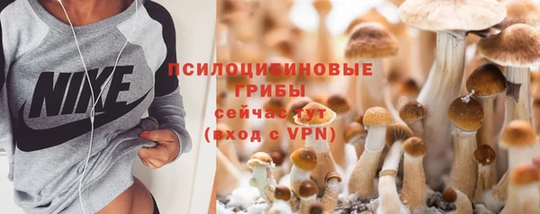 меф Армянск