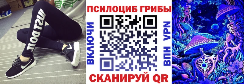 Купить закладки  Бугульма  Псилоцибиновые грибы Cubensis 